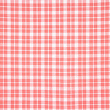 Popeline-Hemd Popeline Maryland Plaid - Ribes y Casals
