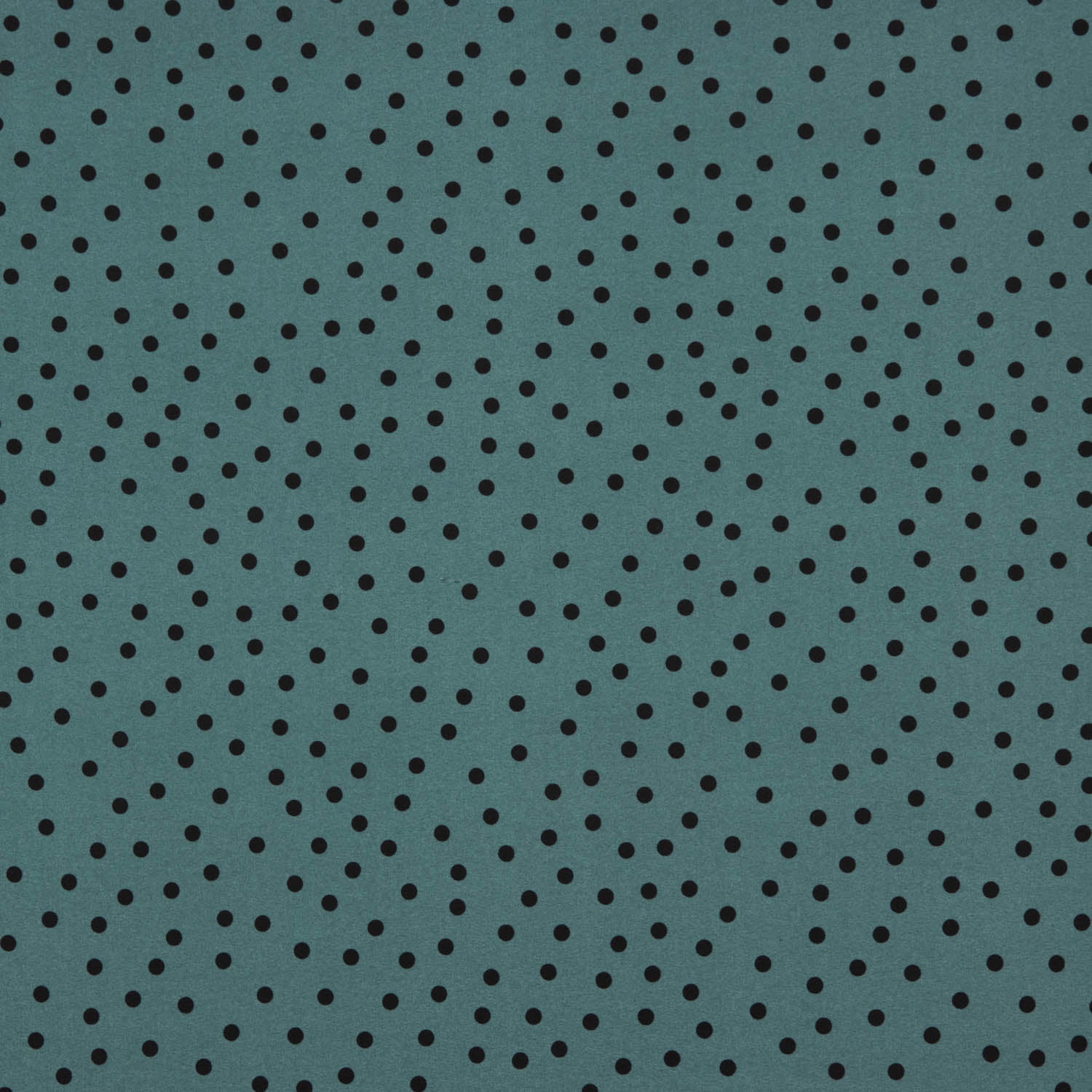 Koshibo Polka Dots 17mm Delavé Öl - Ribes y Casals