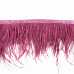 Himbeere Federn Plus Fransen - Ribes y Casals