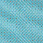 Rania Blau Baumwolle Popeline 80 x 150 cm - Ribes y Casals