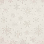 Lurex Silber Lurex Polar Star Segeltuch - Ribes y Casals