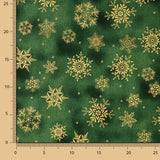Popeline-Stoffrest Weihnachten Grüner Stern – Verschiedene Maße x Breite 140 cm - Ribes y Casals