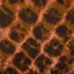 Feuer Tie-Dye Viskose Satin - Ribes y Casals