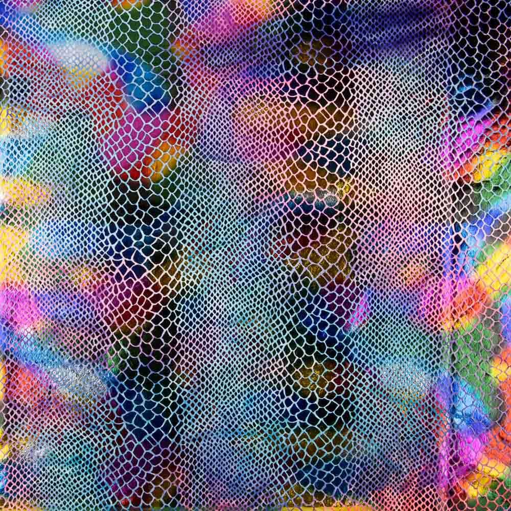 Rash Guard Snake Multicolour Foil - Ribes y Casals