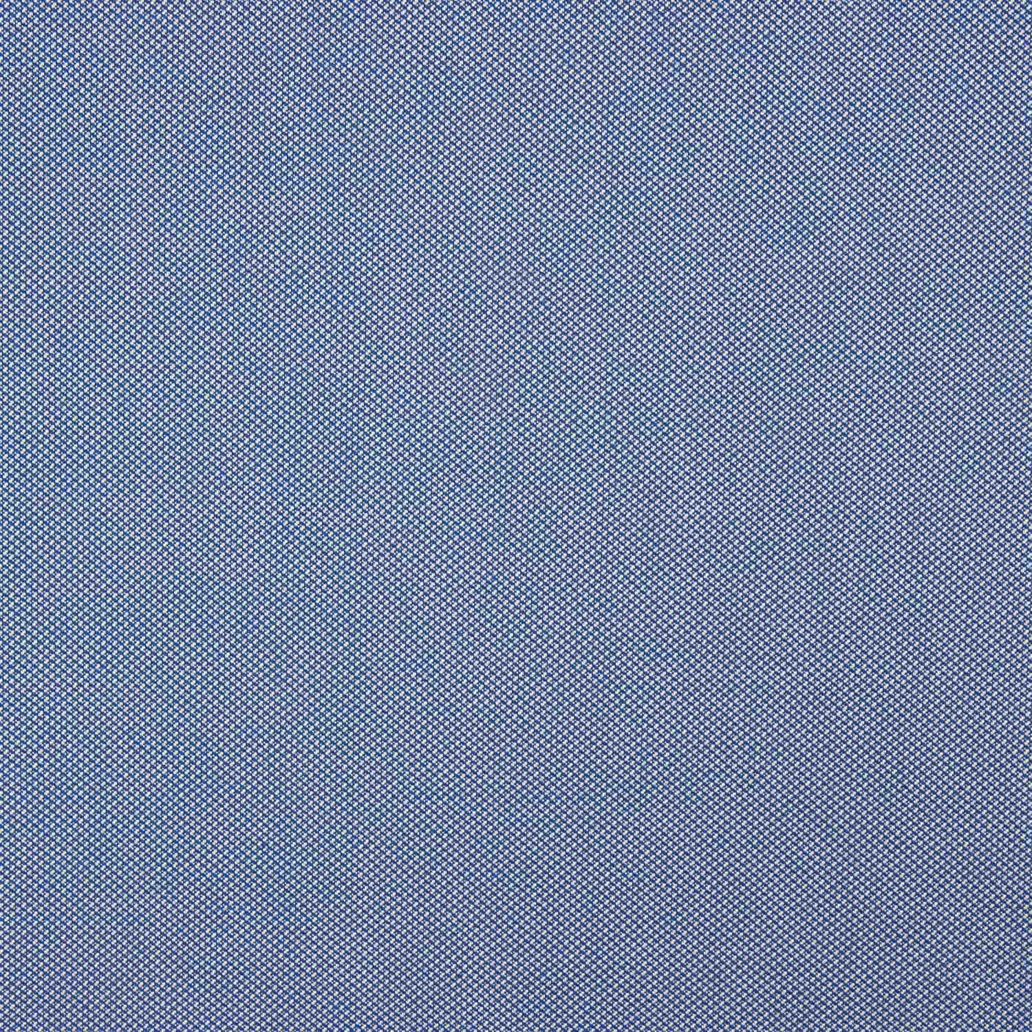 Hemd Baumwolle Mikrokaro Baumwolle Blau - Ribes y Casals