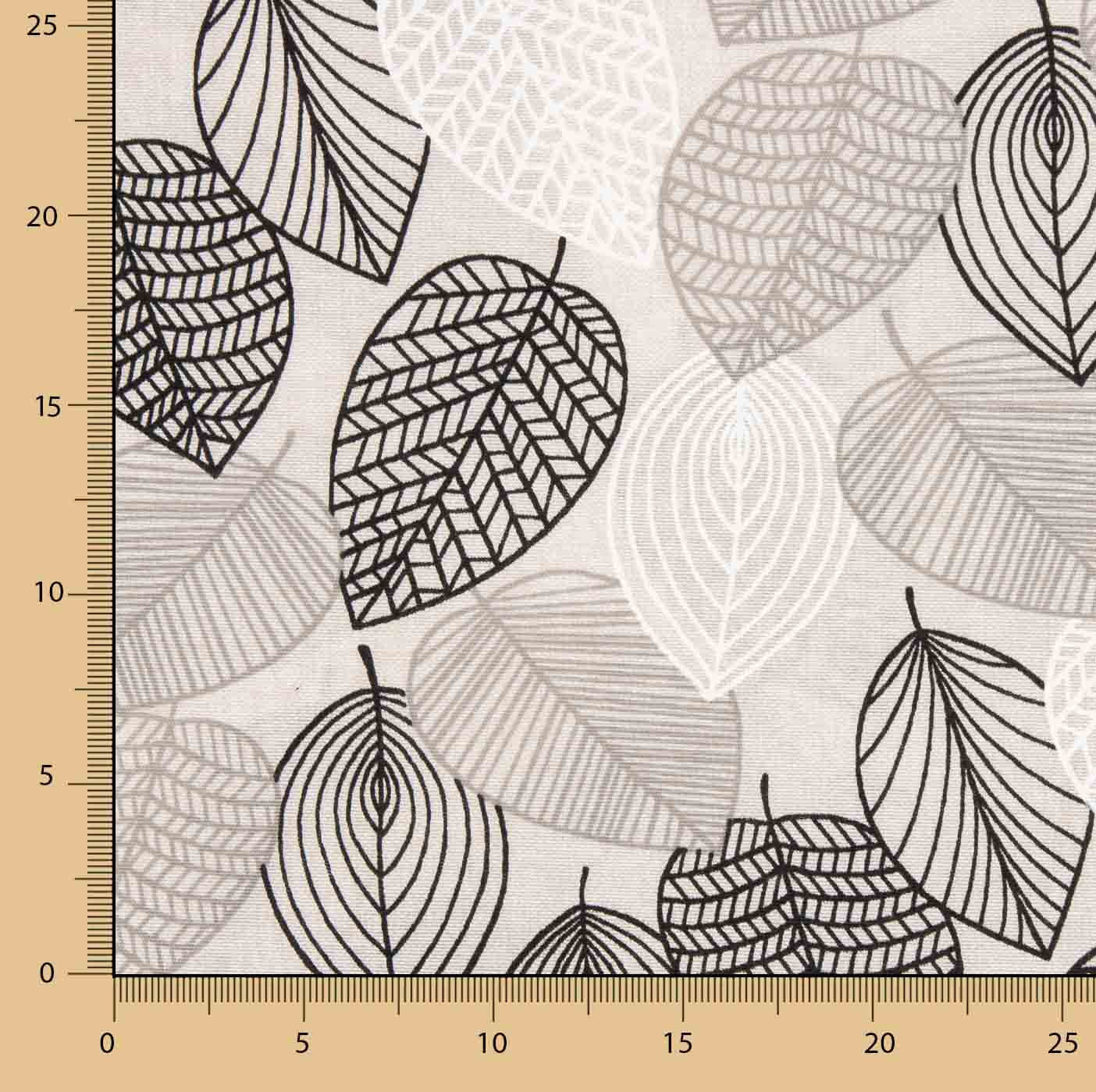 Canvas Geometrische Blätter Schwarz - Ribes y Casals