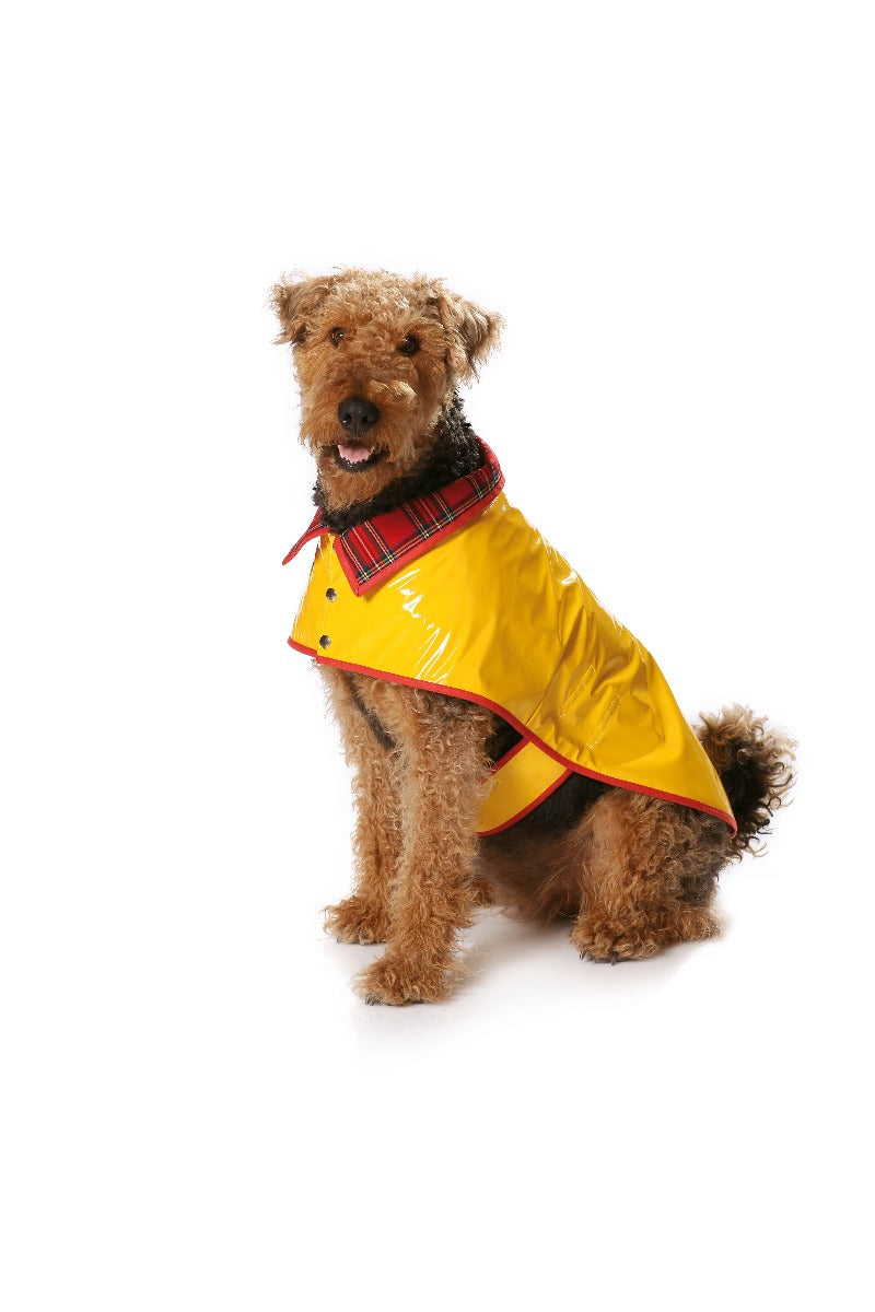 Schnittmuster Burda 7752 Hundemantel - Ribes y Casals