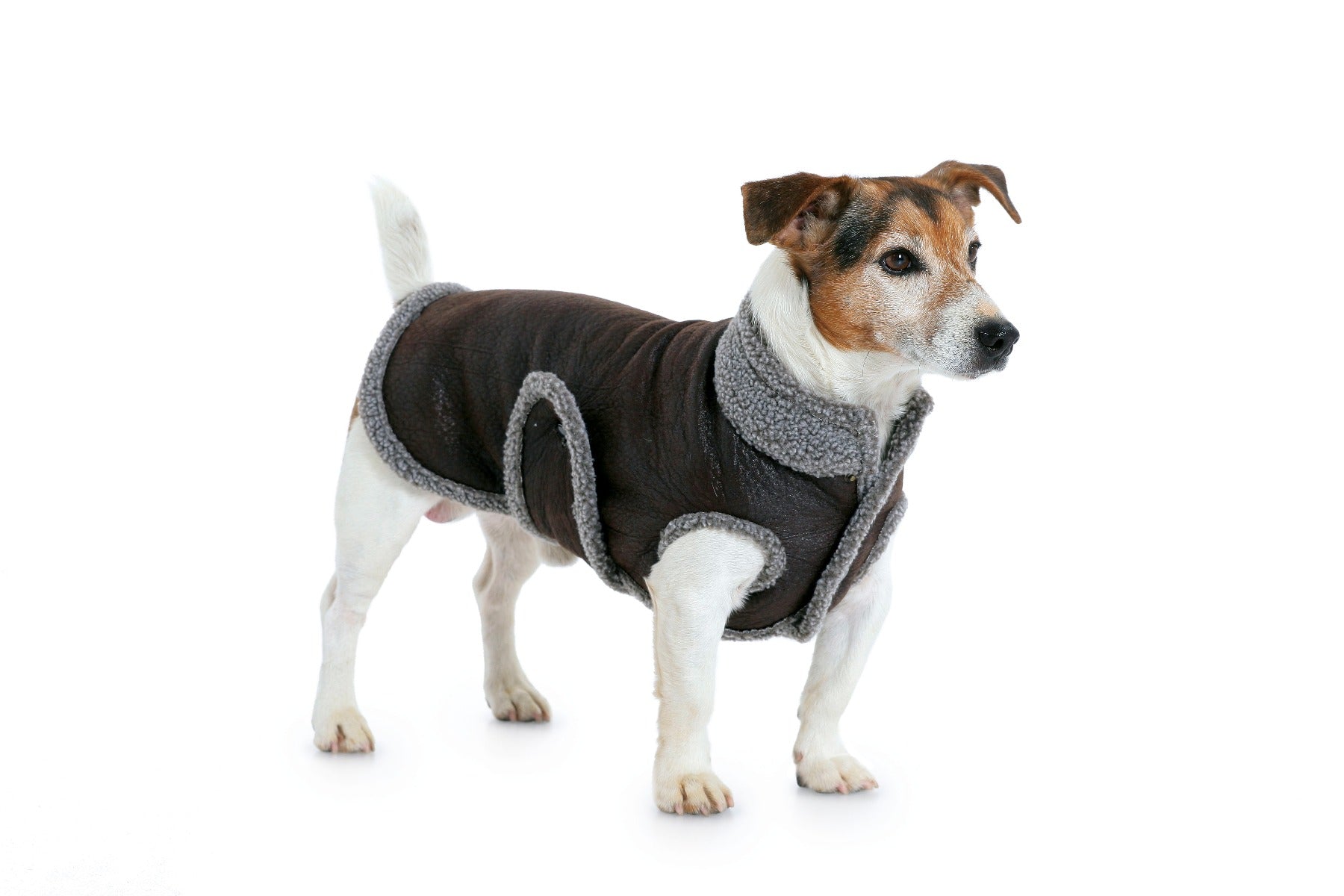 Schnittmuster Burda 7752 Hundemantel - Ribes y Casals