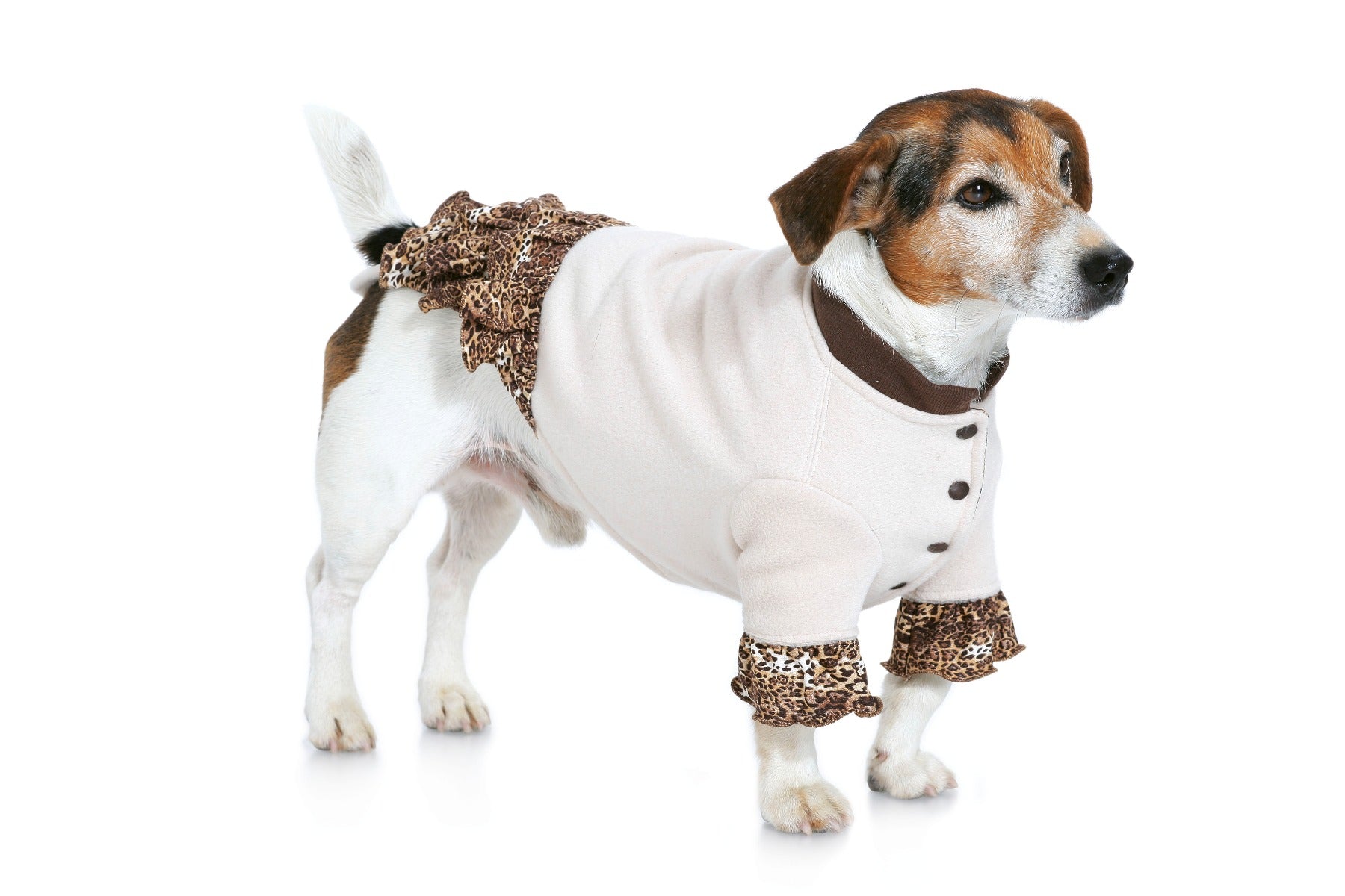 Schnittmuster Burda 7752 Hundemantel - Ribes y Casals