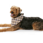 Schnittmuster Burda 7752 Hundemantel - Ribes y Casals