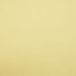 Voile Baumwolle Gelb - Ribes y Casals