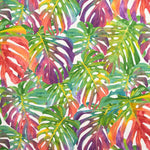 Tropische Segeltuch-Monstera - Ribes y Casals
