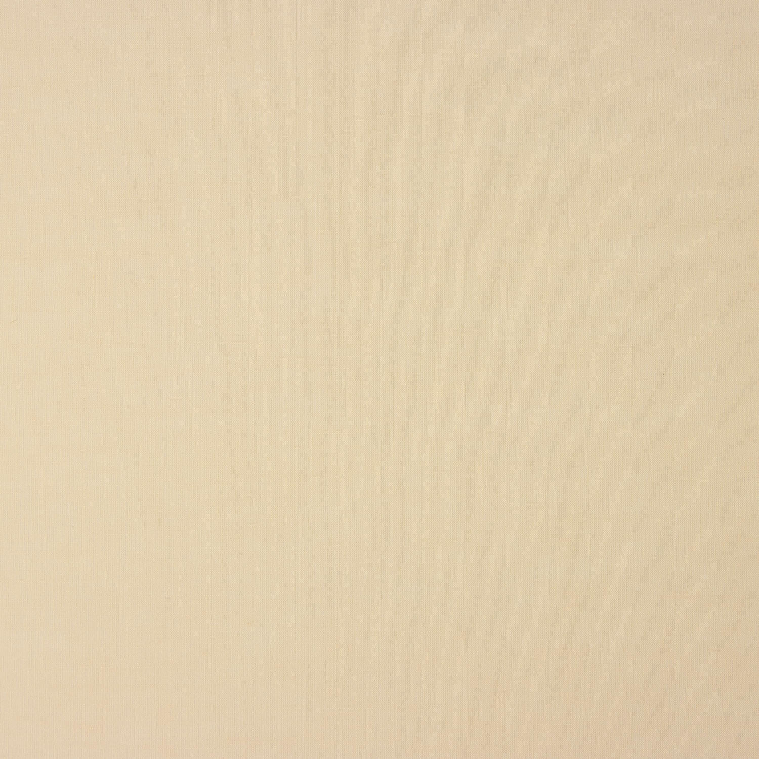 Voile Baumwolle Beige - Ribes y Casals