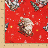 Arktische Zwerge Weihnachtstaschentuch - Ribes y Casals