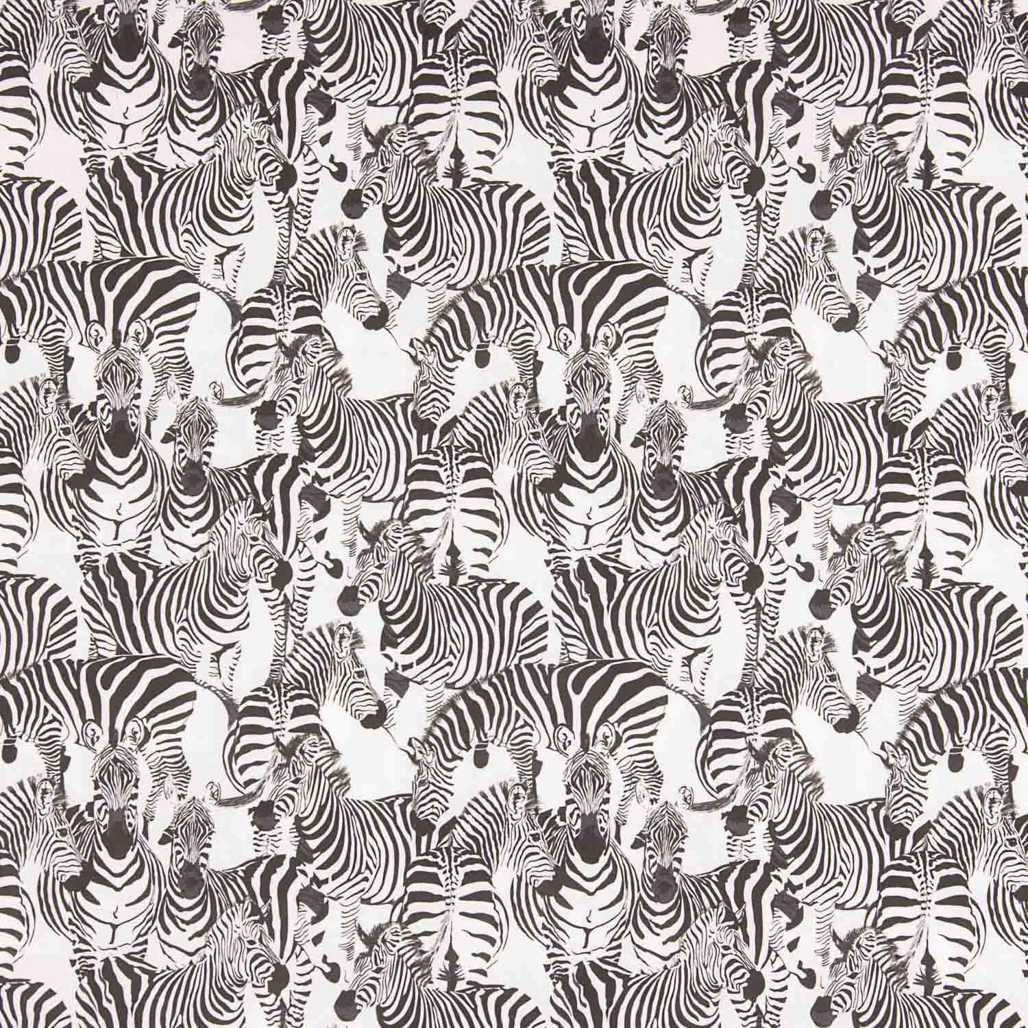 Zebra bedruckte Baumwollpopeline - Ribes y Casals