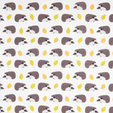 Igel Bedruckte Baumwollpopeline Kinder - Ribes y Casals