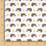 Igel Bedruckte Baumwollpopeline Kinder - Ribes y Casals