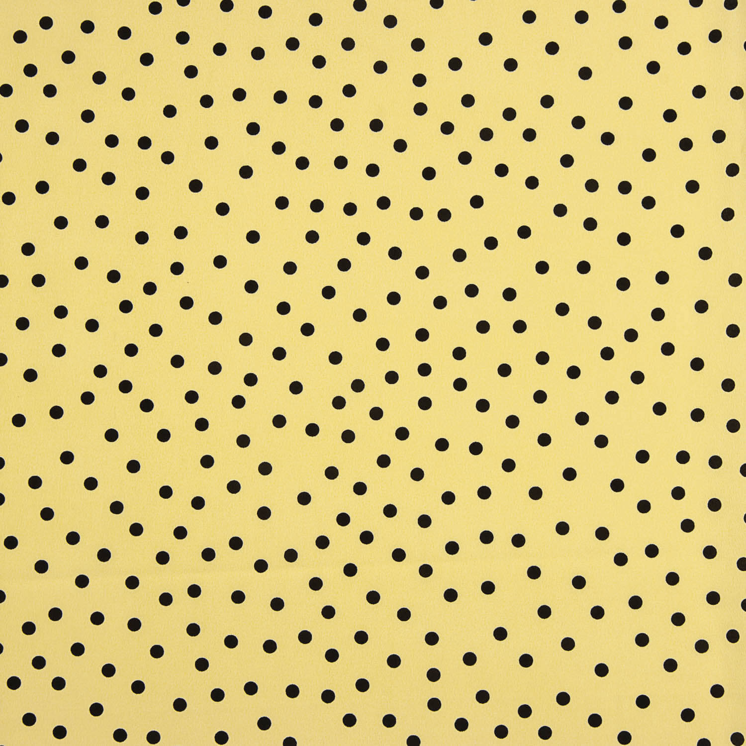 Koshibo Polka Dots 7 mm Vanille / Schwarz - Ribes y Casals