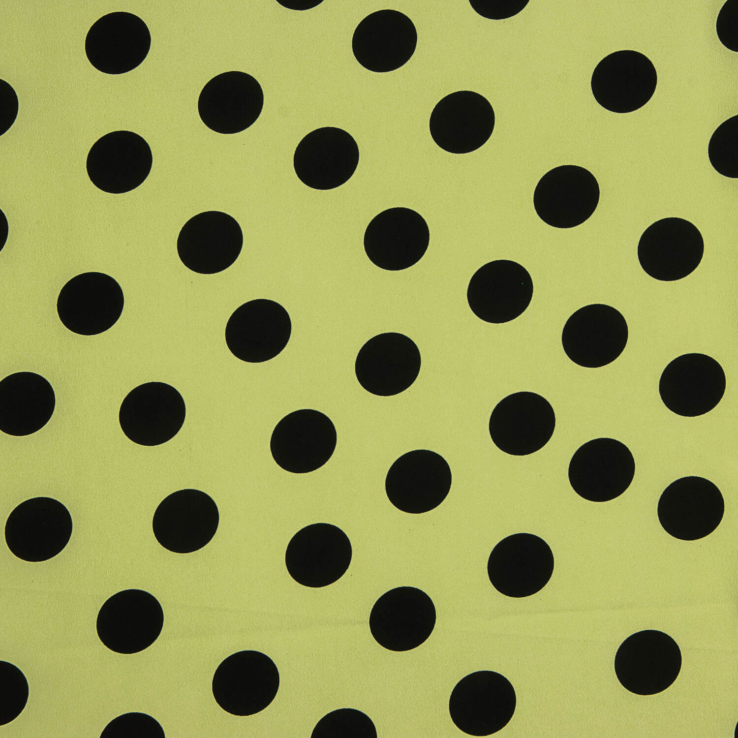 Koshibo Polka Dots 33 mm Grün / Schwarz - Ribes y Casals