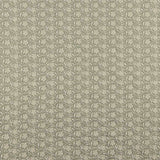 Voile Stickerei Magnolia Soft Green - Ribes y Casals