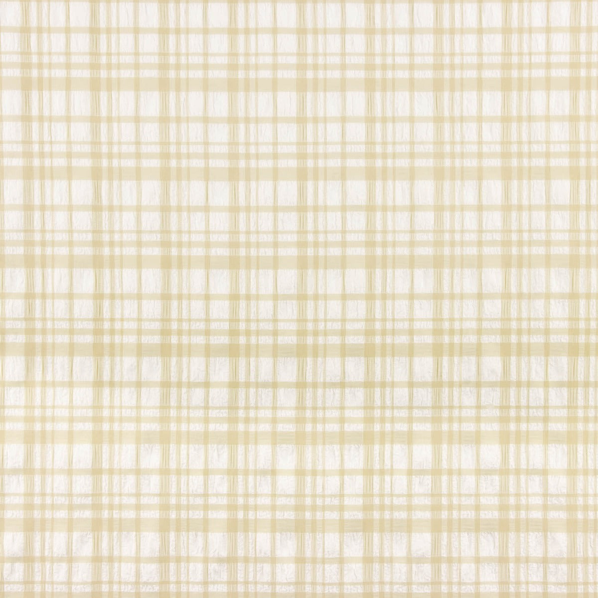 Seersucker Kariert Beige und Weiß - Ribes y Casals