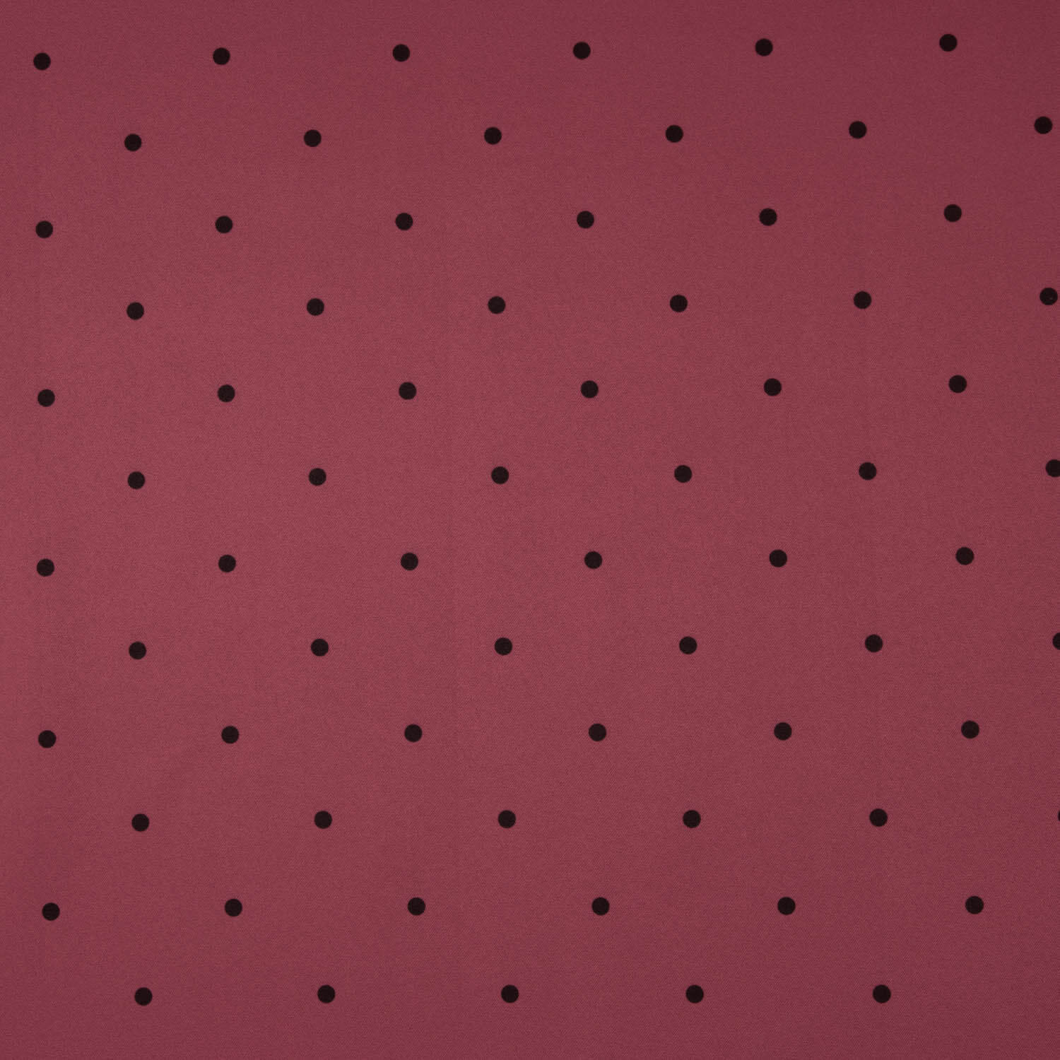 Polytecno Elastic Polka Dot Schwarz Maroon Hintergrund - Ribes y Casals