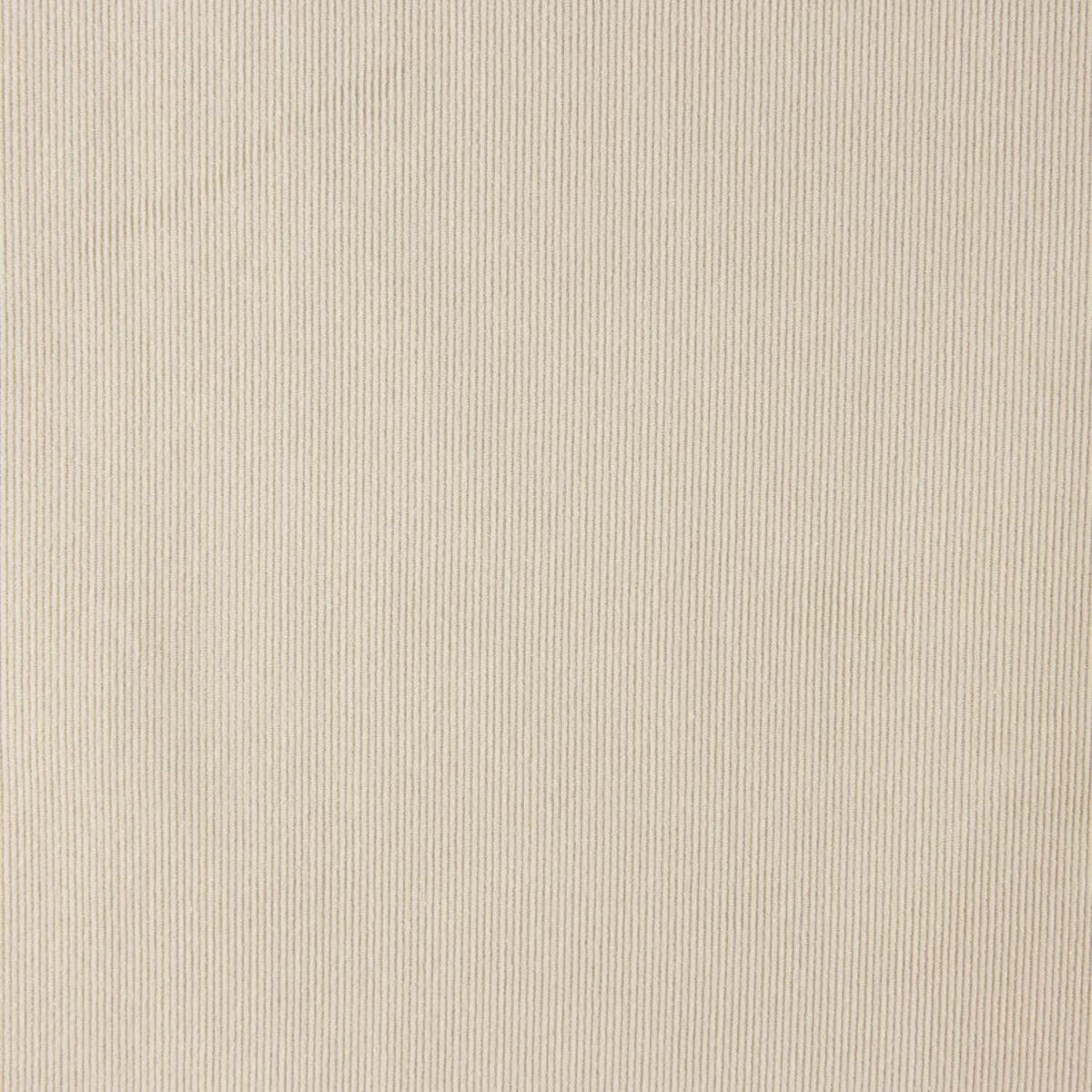 Mikrocord Baumwolle Beige - Ribes y Casals