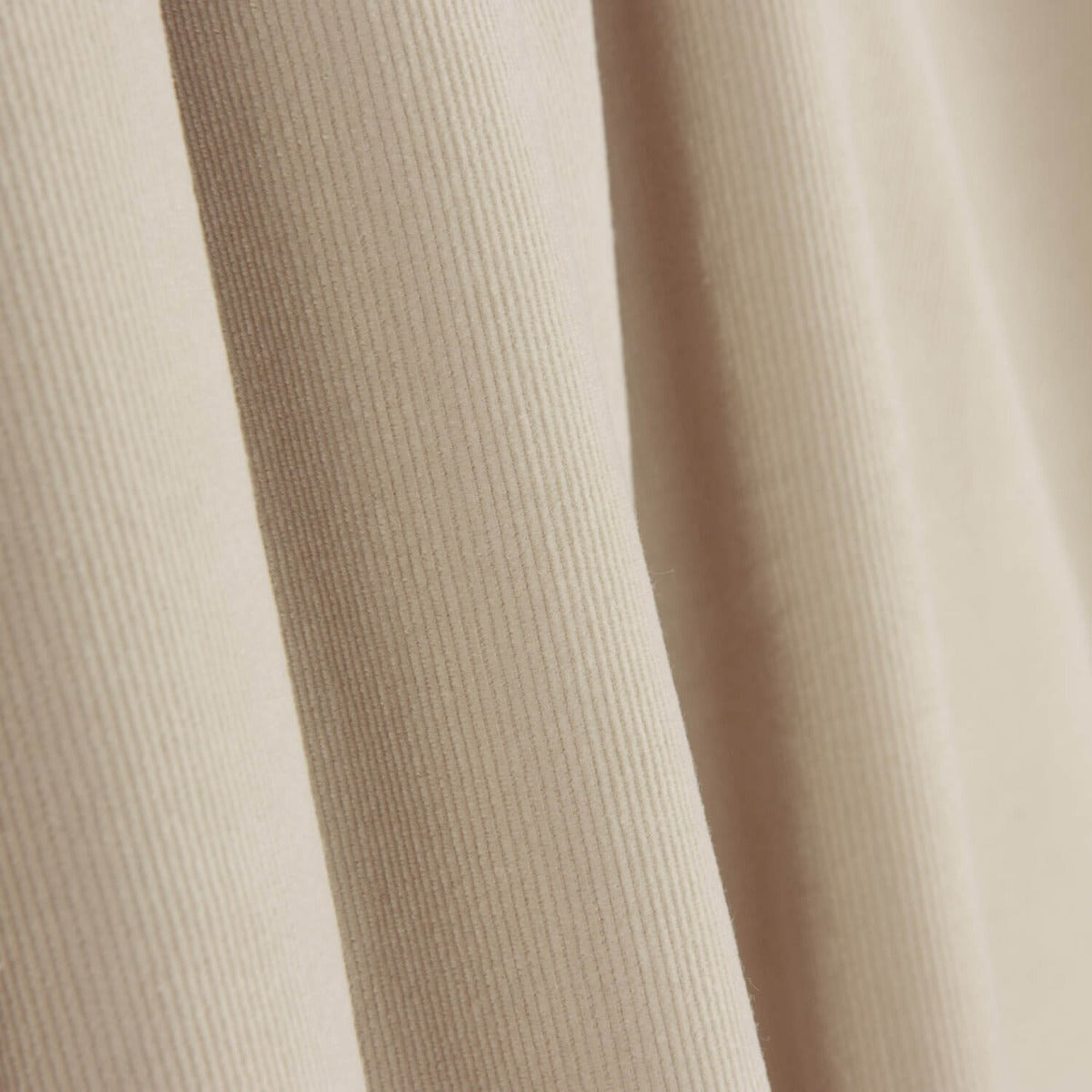 Mikrocord Baumwolle Beige - Ribes y Casals