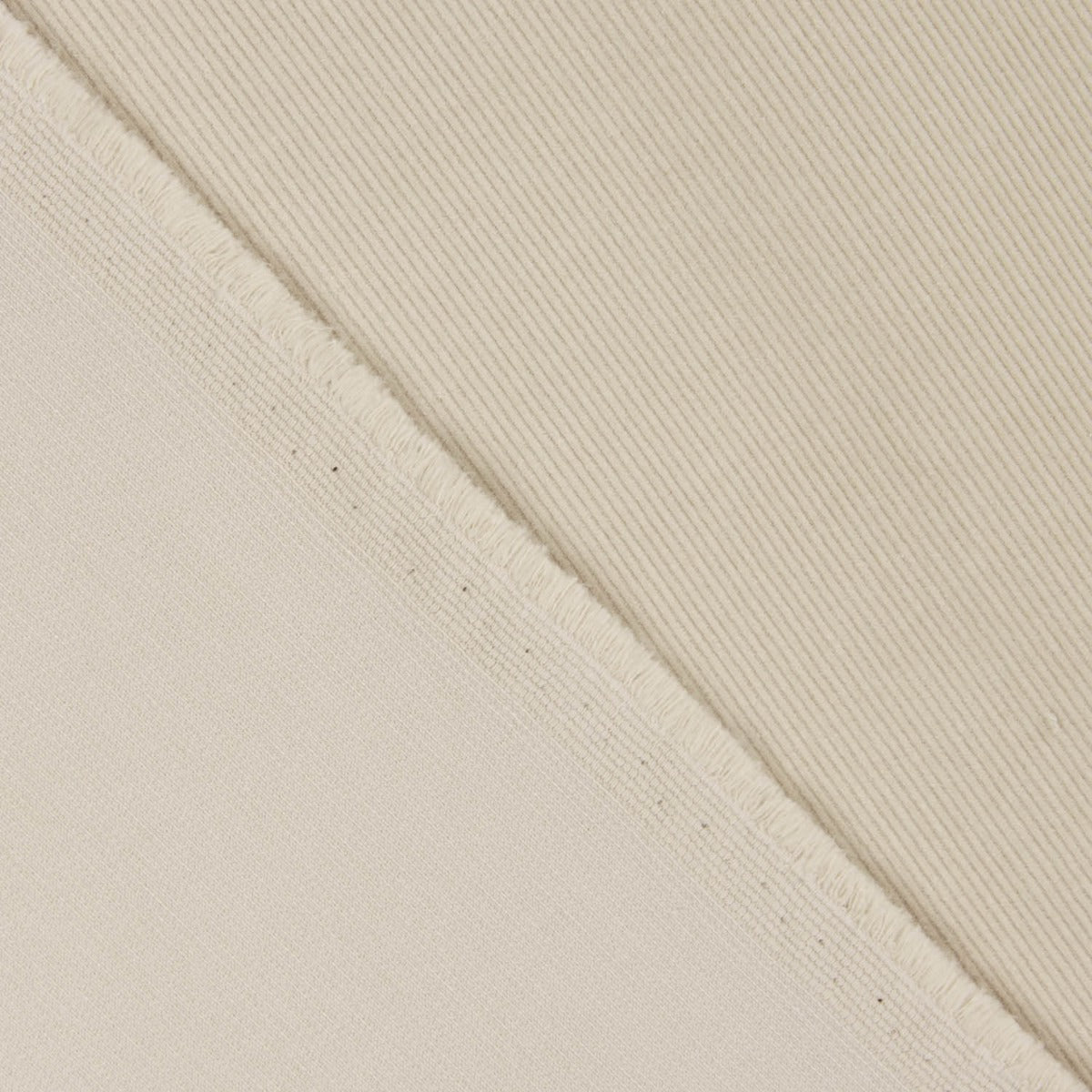 Mikrocord Baumwolle Beige - Ribes y Casals