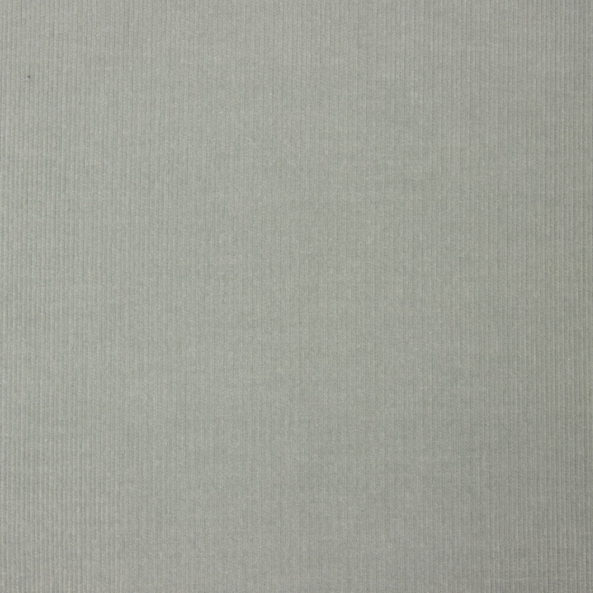 Microfleece-Stoff Soft Green Baumwolle 40 x 145 cm - Ribes y Casals