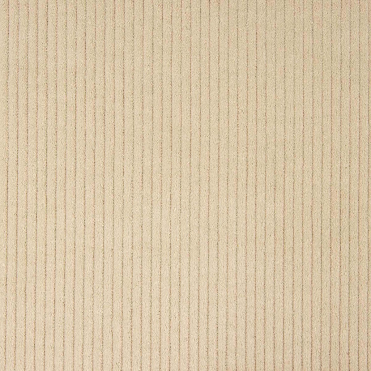 Kord Baumwolle Beige - Ribes y Casals