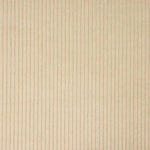 Kord Baumwolle Beige - Ribes y Casals