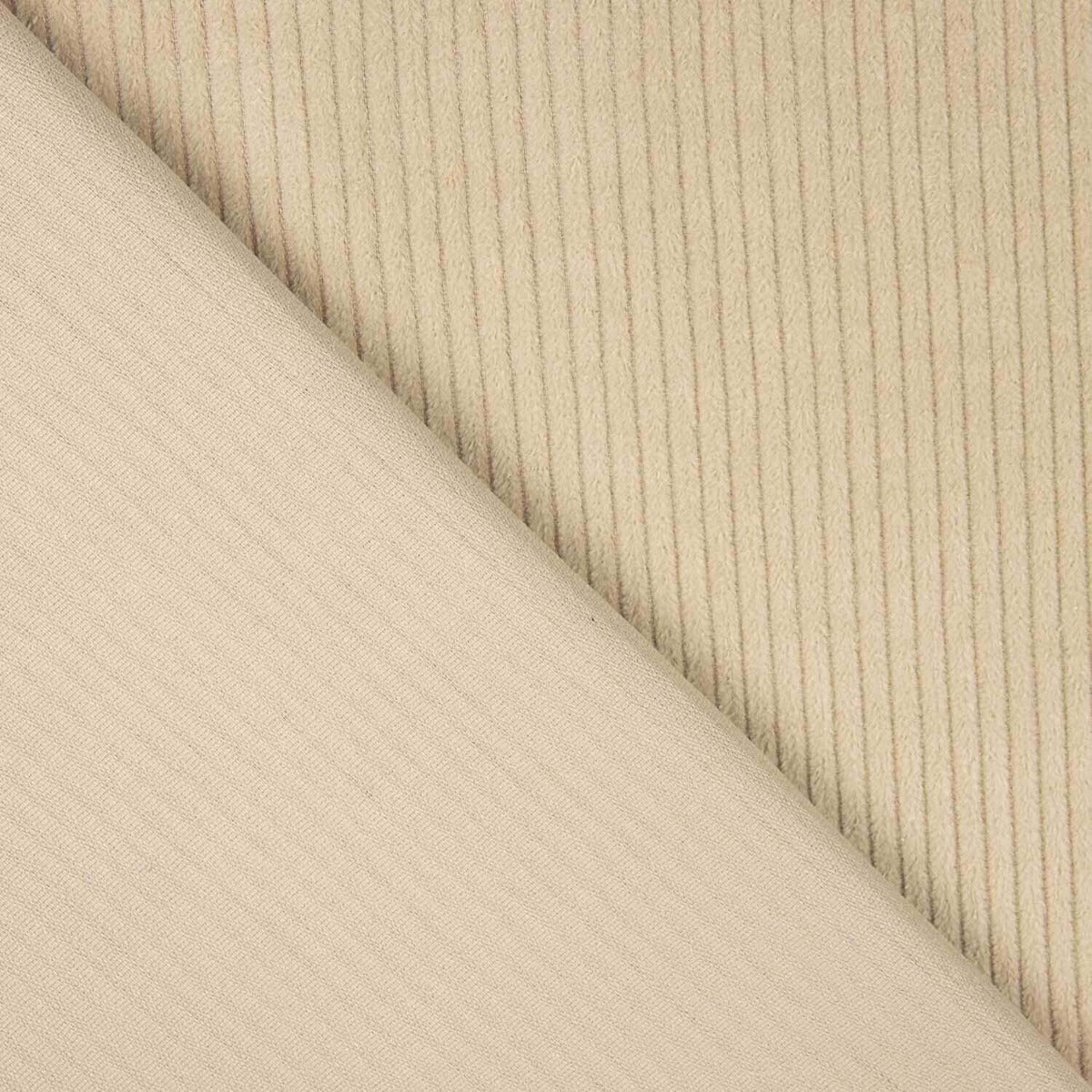 Kord Baumwolle Beige - Ribes y Casals