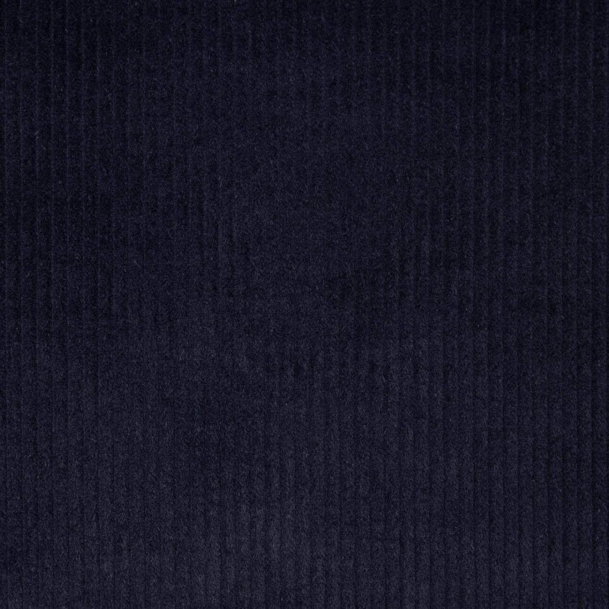 Kord Navy Baumwolle - Ribes y Casals
