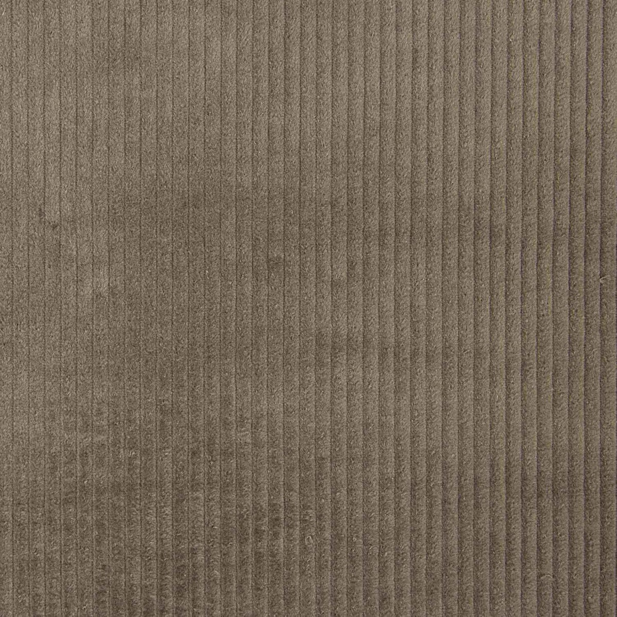 Kord Baumwolle Taupe - Ribes y Casals
