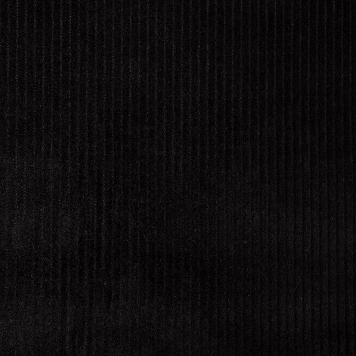Corduroy Baumwolle Schwarz - Ribes y Casals