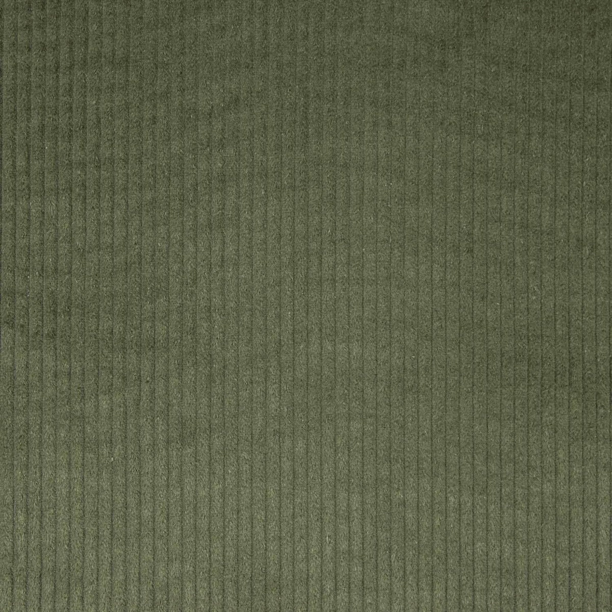 Kord Baumwolle Khaki Grün - Ribes y Casals