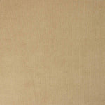 Beigefarbener Stretch-Microkordsamt - Ribes y Casals