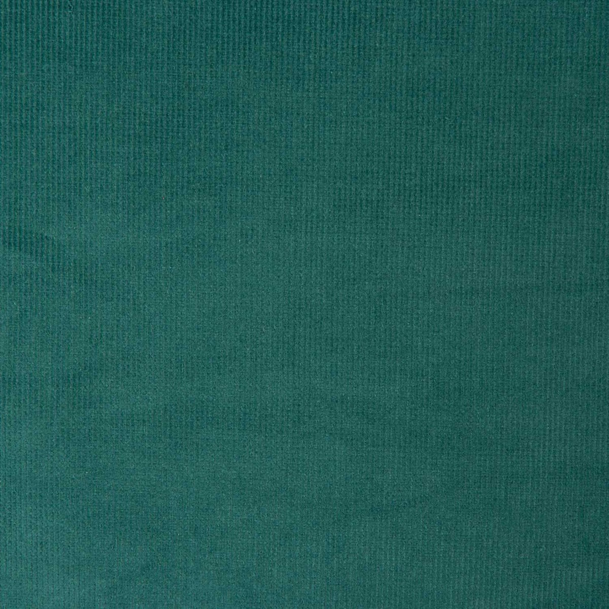 Canard Blau Elastisches Microfleece - Ribes y Casals