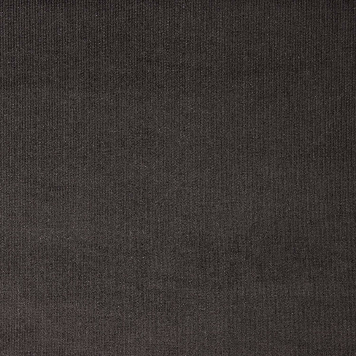 Elastisches Microfleece Anthrazit Grau - Ribes y Casals