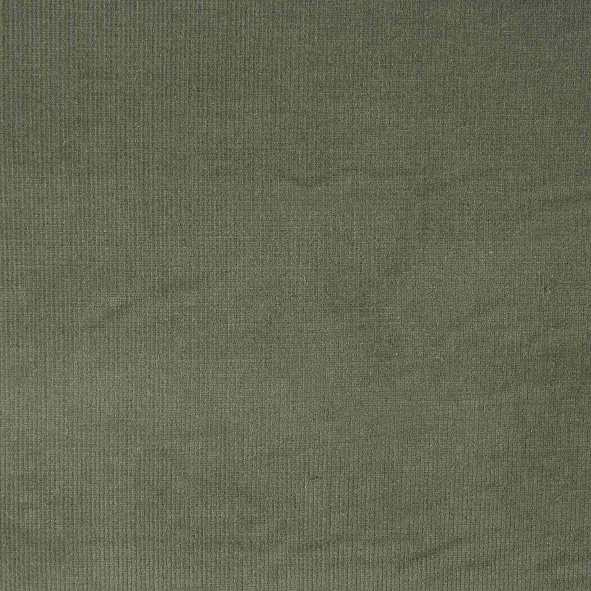 Khakigrünes elastisches Microfleece - Ribes y Casals