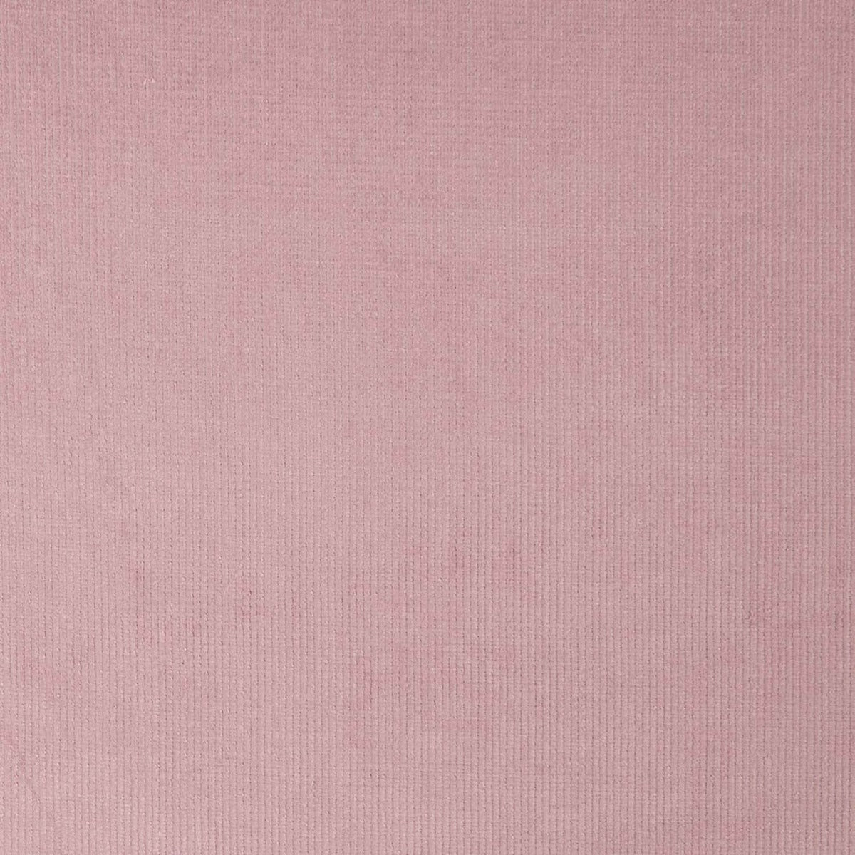 Rosa elastisches Microfleece - Ribes y Casals