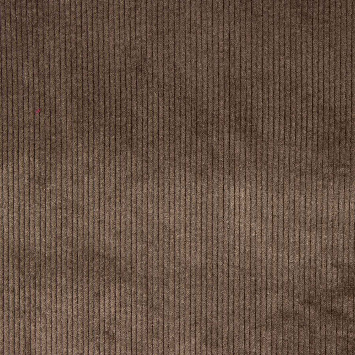 Cordelé mit gewaschenem Effekt Braun - Ribes y Casals