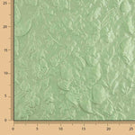 Brokat Grün Floral Relief - Ribes y Casals