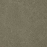 Canvas, militärgrün gewaschen - Ribes y Casals