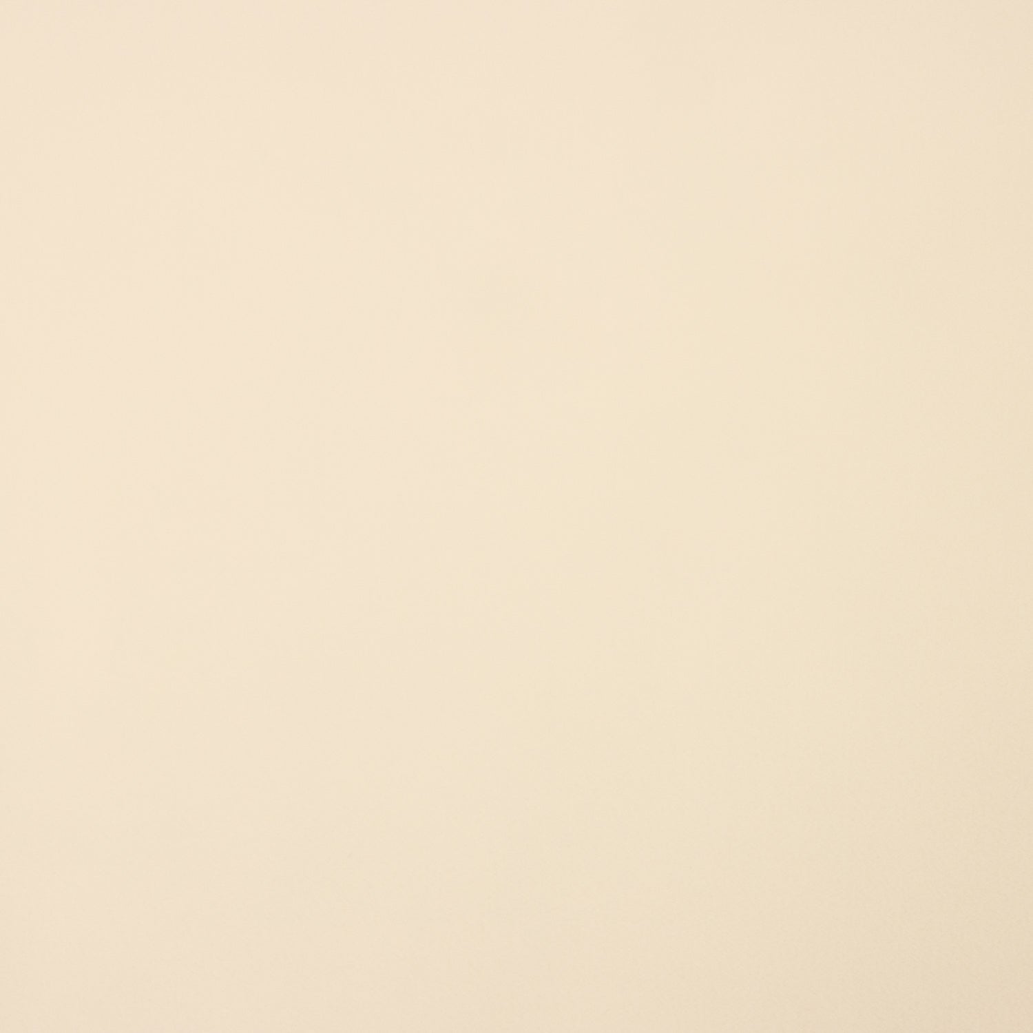 Beigefarbener, dehnbarer Polyester-Futterstoff – verschiedene Maße x Breite 140 cm - Ribes y Casals