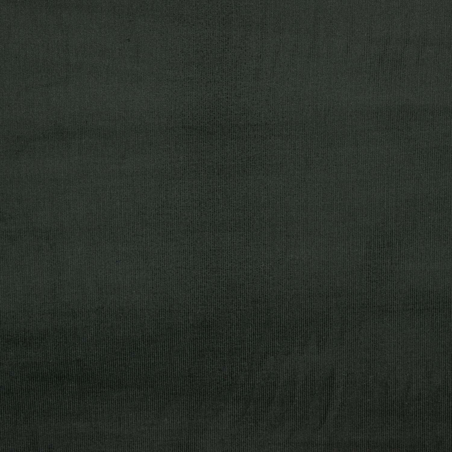 Feines Microfleece Baumwolle Grau Grünlich Grau - Ribes y Casals