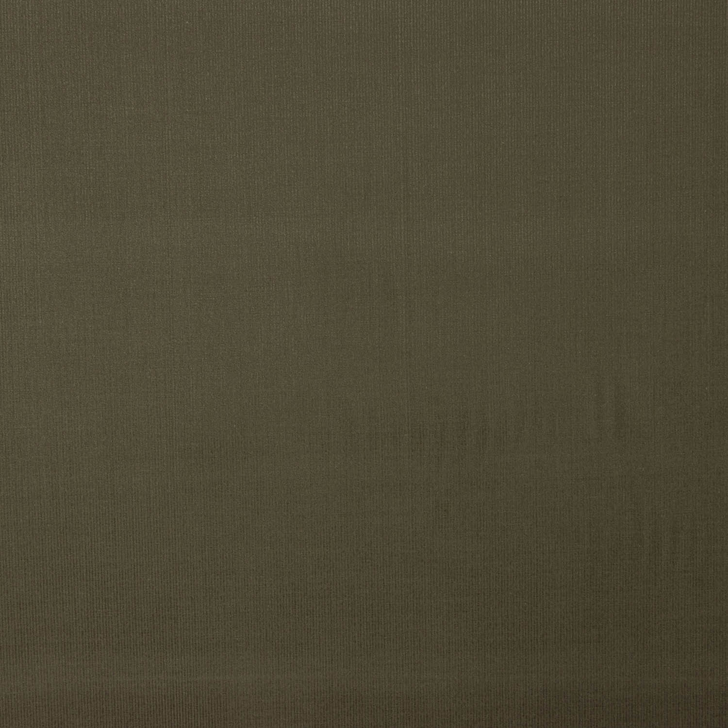 Feines Microfleece Baumwolle Khaki Grün - Ribes y Casals