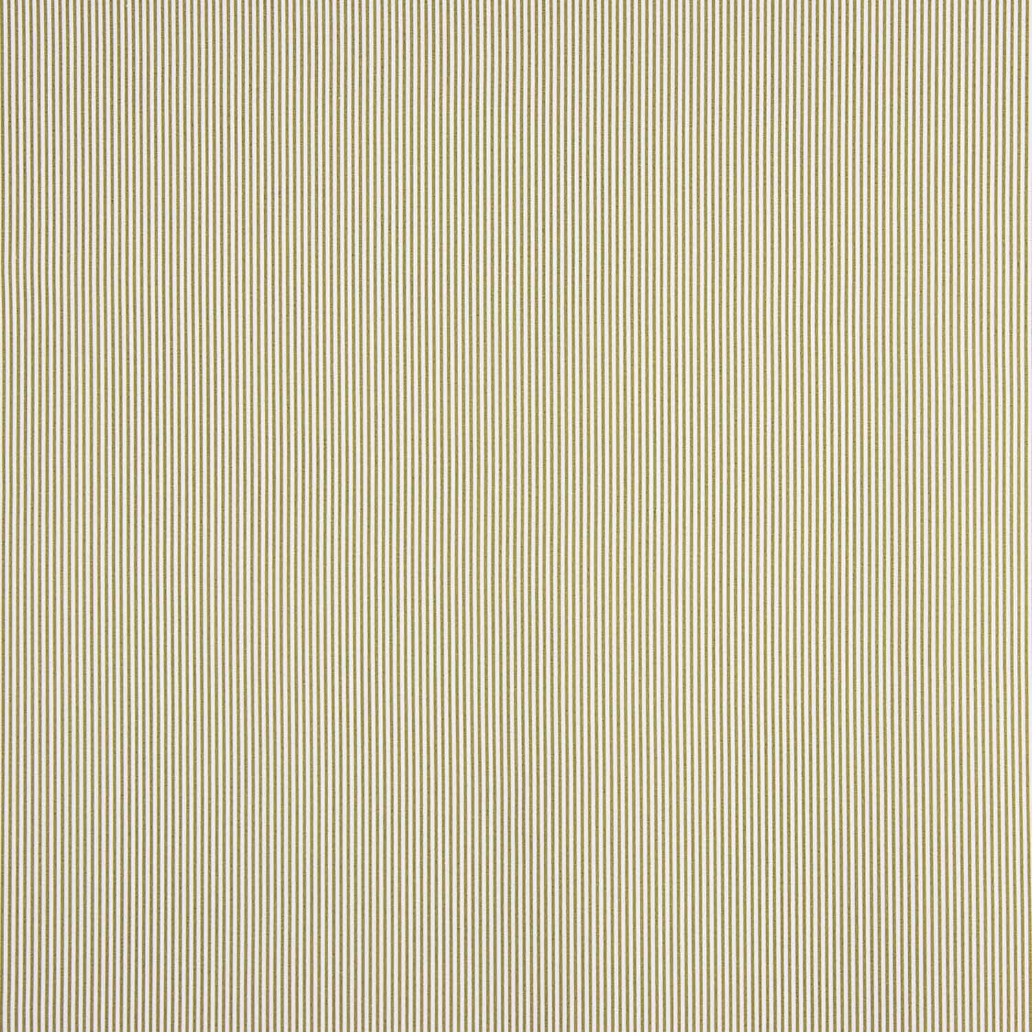 Bio-Baumwoll-Popeline Bio-Baumwolle Milli-Stripes Grün und Weiß - Ribes y Casals