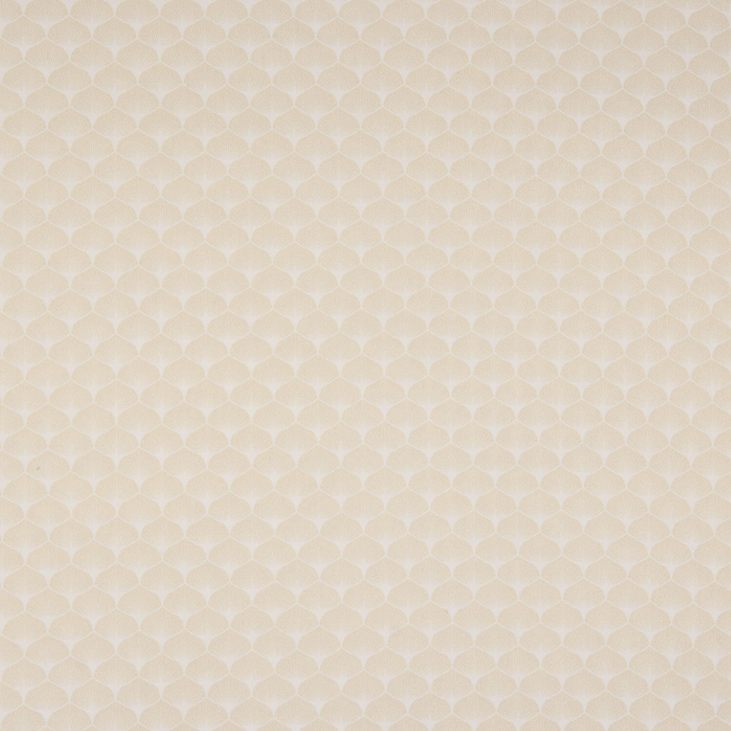 Baumwoll-Popeline Bedruckte Fächer Beige - Ribes y Casals